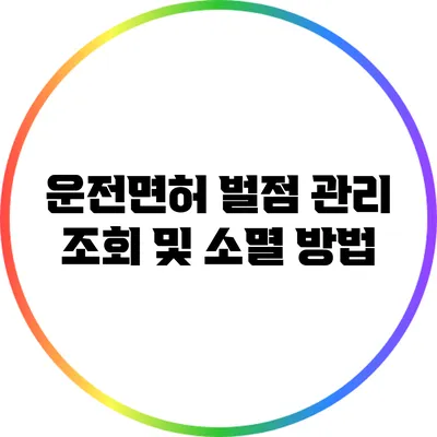 운전면허 벌점 관리: 조회 및 소멸 방법