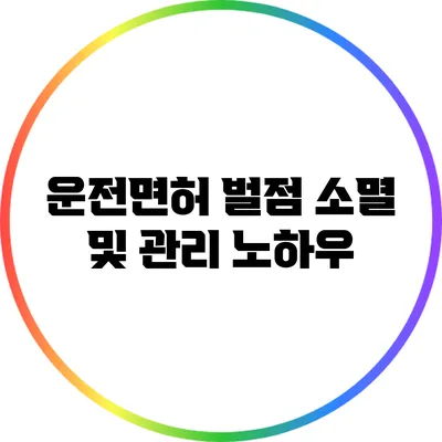 운전면허 벌점 소멸 및 관리 노하우