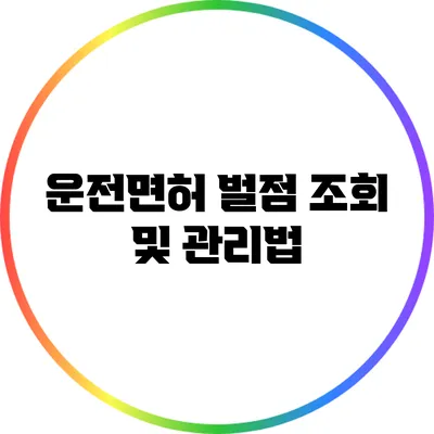 운전면허 벌점 조회 및 관리법