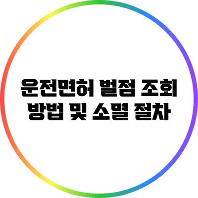 운전면허 벌점 조회 방법 및 소멸 절차