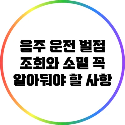 음주 운전 벌점 조회와 소멸: 꼭 알아둬야 할 사항