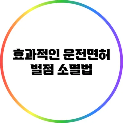 효과적인 운전면허 벌점 소멸법