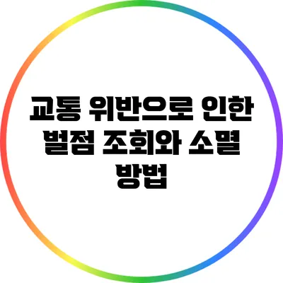 교통 위반으로 인한 벌점 조회와 소멸 방법