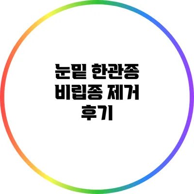 눈밑 한관종 비립종 제거 후기