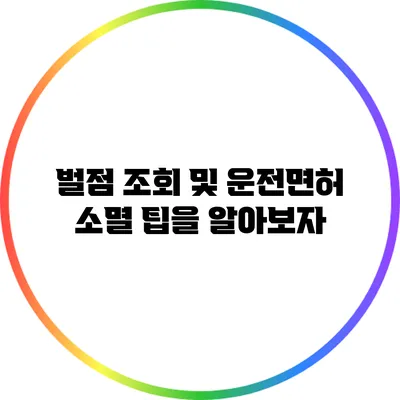 벌점 조회 및 운전면허 소멸 팁을 알아보자