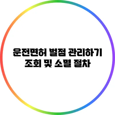 운전면허 벌점 관리하기: 조회 및 소멸 절차