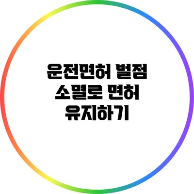 운전면허 벌점 소멸로 면허 유지하기