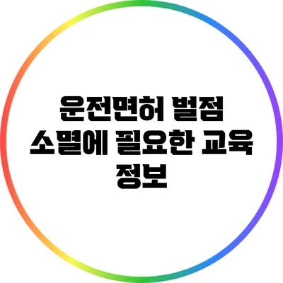 운전면허 벌점 소멸에 필요한 교육 정보