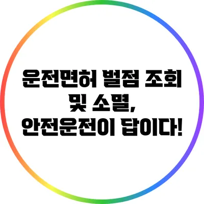 운전면허 벌점 조회 및 소멸, 안전운전이 답이다!