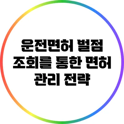 운전면허 벌점 조회를 통한 면허 관리 전략