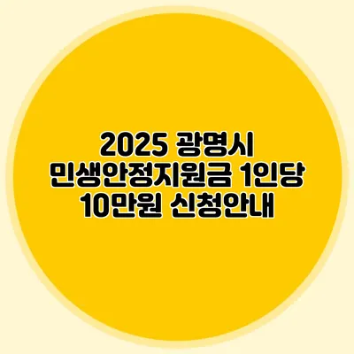 2025 광명시 민생안정지원금 1인당 10만원 신청안내