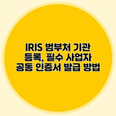 IRIS 범부처 기관 등록, 필수 사업자 공동 인증서 발급 방법
