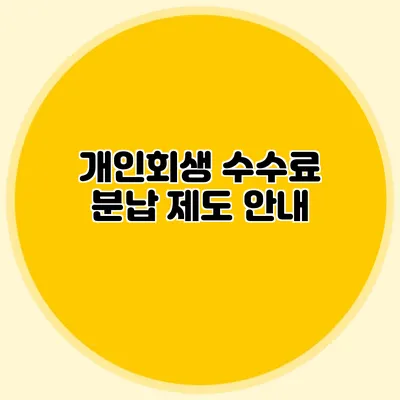 개인회생 수수료 분납 제도 안내