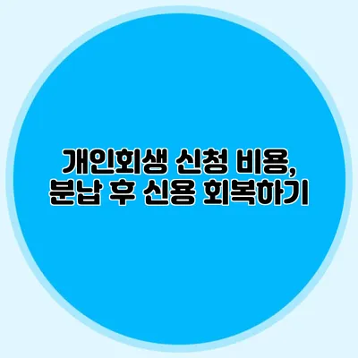 개인회생 신청 비용, 분납 후 신용 회복하기