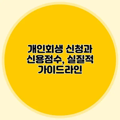 개인회생 신청과 신용점수, 실질적 가이드라인