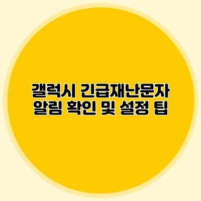 갤럭시 긴급재난문자 알림 확인 및 설정 팁