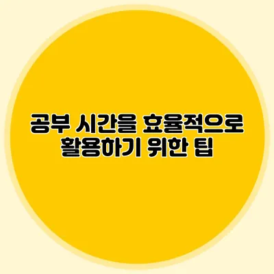 공부 시간을 효율적으로 활용하기 위한 팁