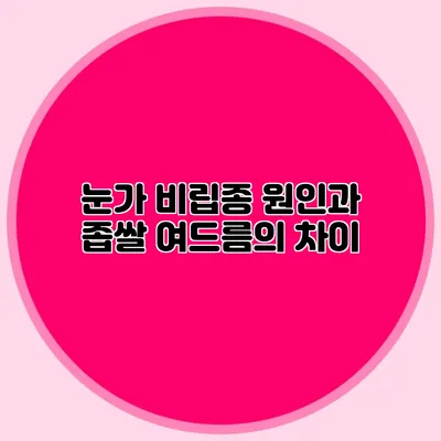 눈가 비립종 원인과 좁쌀 여드름의 차이