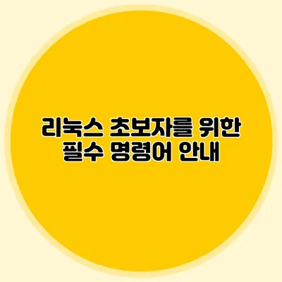 리눅스 초보자를 위한 필수 명령어 안내