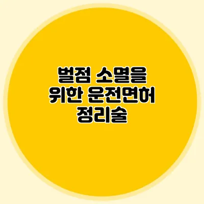 벌점 소멸을 위한 운전면허 정리술