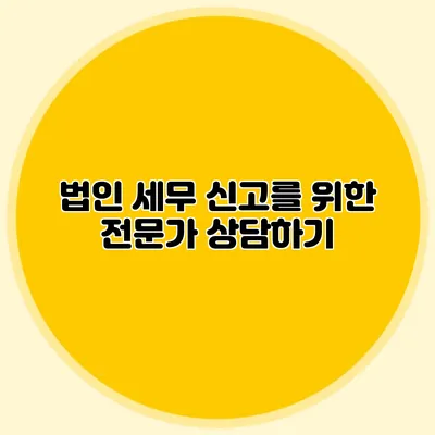 법인 세무 신고를 위한 전문가 상담하기