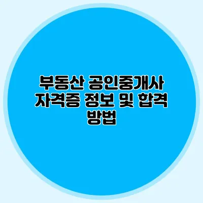 부동산 공인중개사 자격증 정보 및 합격 방법