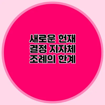 새로운 헌재 결정 지자체 조례의 한계
