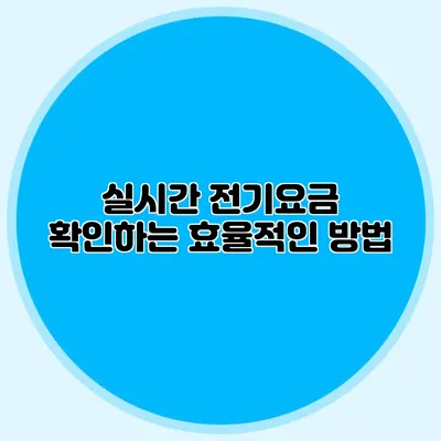 실시간 전기요금 확인하는 효율적인 방법