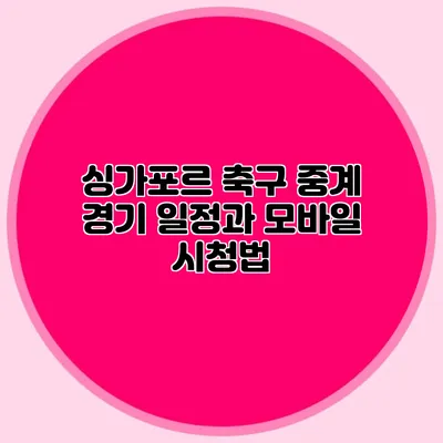 싱가포르 축구 중계 경기 일정과 모바일 시청법