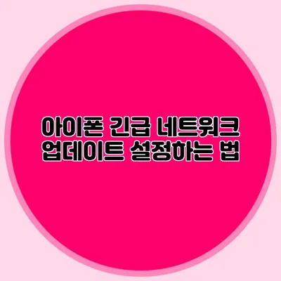 아이폰 긴급 네트워크 업데이트 설정하는 법