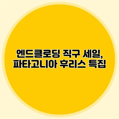 엔드클로딩 직구 세일, 파타고니아 후리스 특집