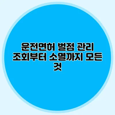 운전면허 벌점 관리 조회부터 소멸까지 모든 것