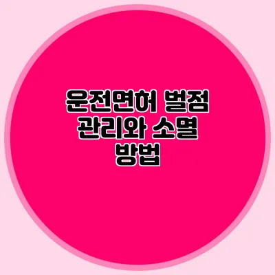 운전면허 벌점 관리와 소멸 방법