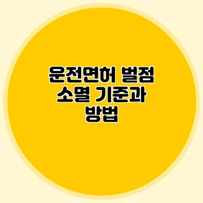 운전면허 벌점 소멸 기준과 방법