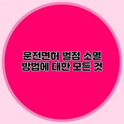 운전면허 벌점 소멸 방법에 대한 모든 것
