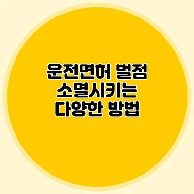 운전면허 벌점 소멸시키는 다양한 방법