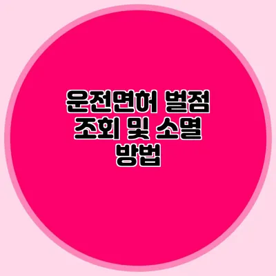 운전면허 벌점 조회 및 소멸 방법