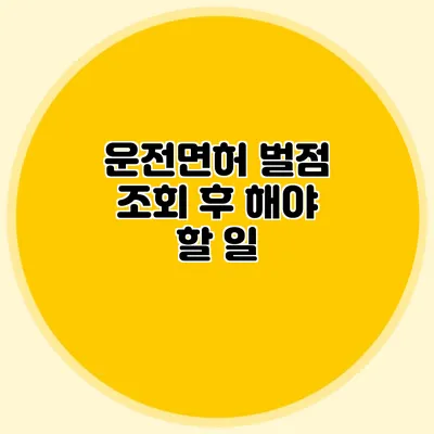 운전면허 벌점 조회 후 해야 할 일