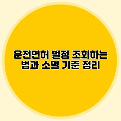 운전면허 벌점 조회하는 법과 소멸 기준 정리