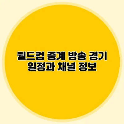 월드컵 중계 방송 경기 일정과 채널 정보