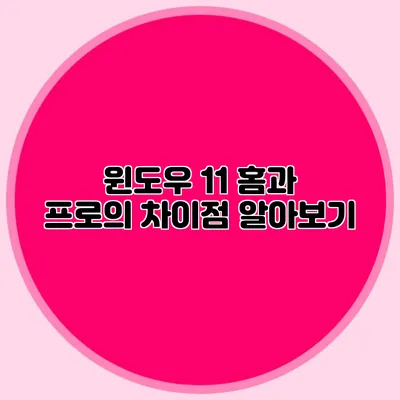 윈도우 11 홈과 프로의 차이점 알아보기