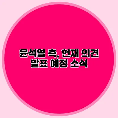 윤석열 측, 헌재 의견 발표 예정 소식