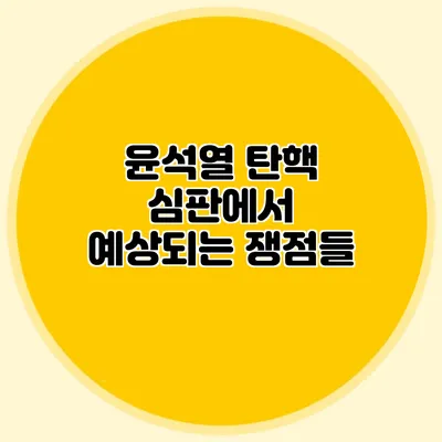 윤석열 탄핵 심판에서 예상되는 쟁점들