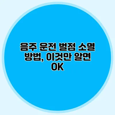 음주 운전 벌점 소멸 방법, 이것만 알면 OK