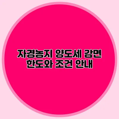 자경농지 양도세 감면 한도와 조건 안내