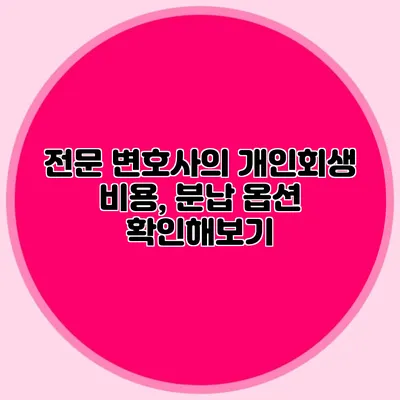 전문 변호사의 개인회생 비용, 분납 옵션 확인해보기