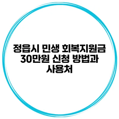 정읍시 민생 회복지원금 30만원 신청 방법과 사용처