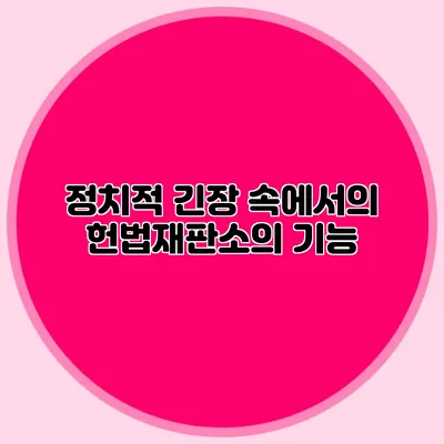 정치적 긴장 속에서의 헌법재판소의 기능
