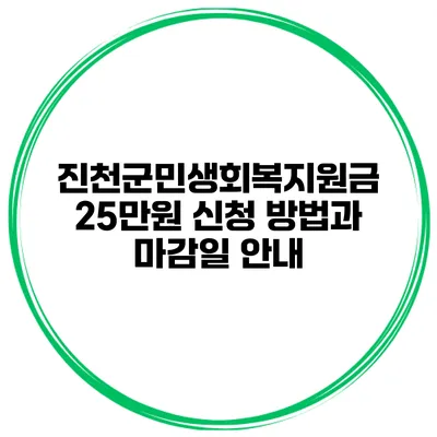 진천군민생회복지원금 25만원 신청 방법과 마감일 안내