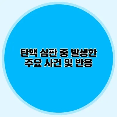 탄핵 심판 중 발생한 주요 사건 및 반응